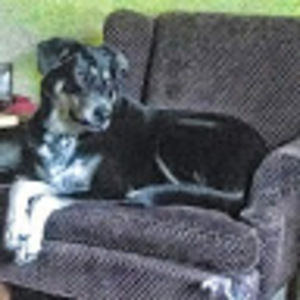 Meet your Posher, Ben